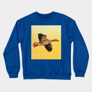 Greylag goose sunset Crewneck Sweatshirt